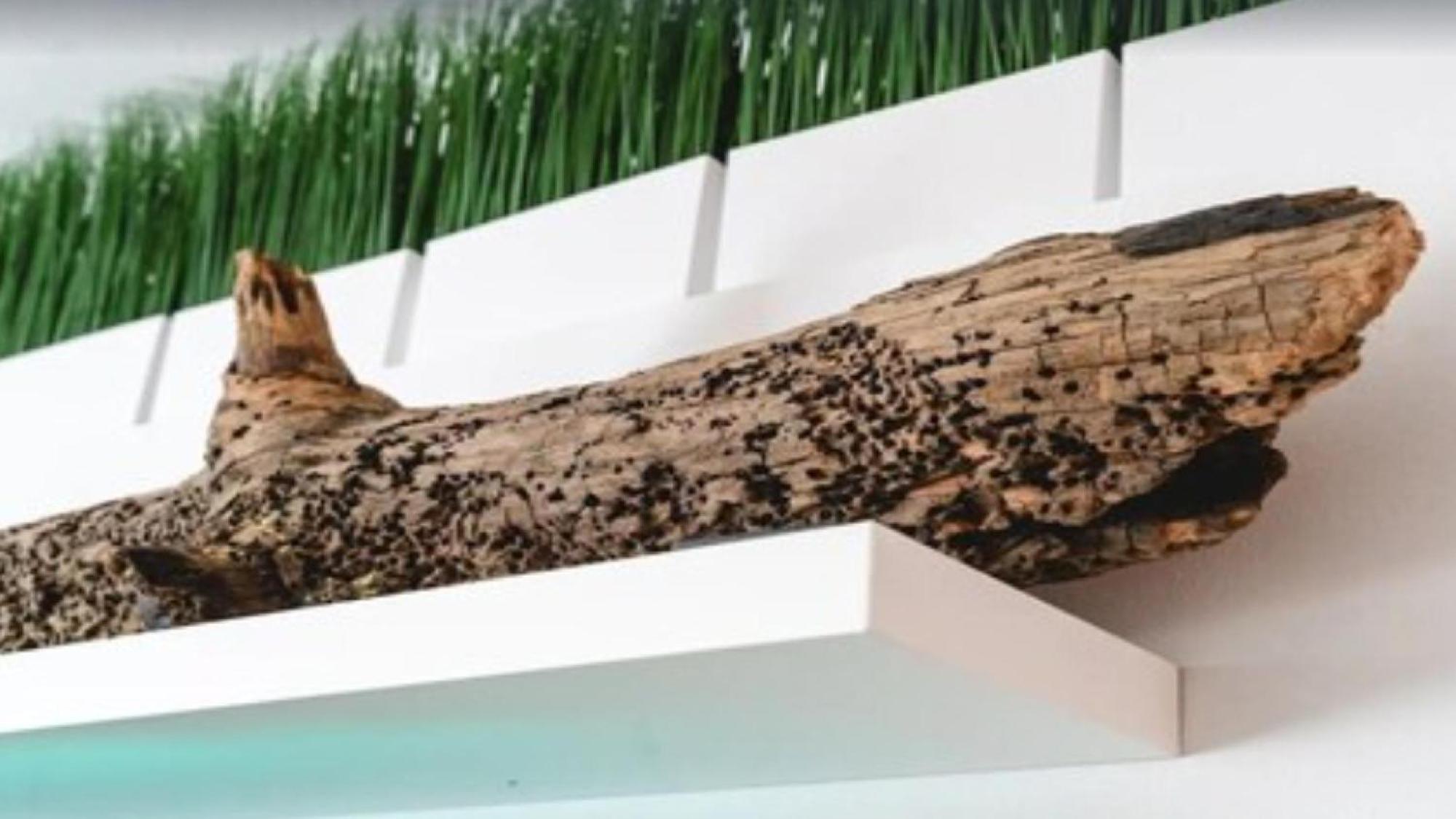 108 Loft Bradenton Villa Ngoại thất bức ảnh